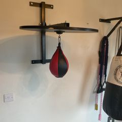 Speed bag