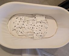 Snoo Smart Bassinet