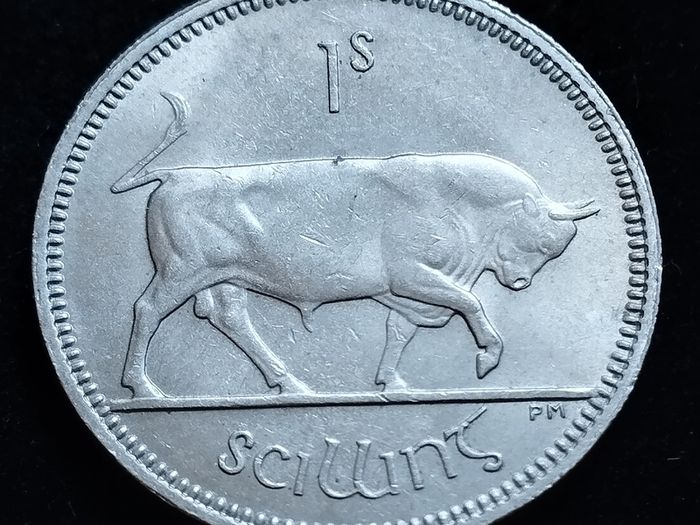 Ireland - 1962 - Shilling - Bull - KM.14a - [2151]