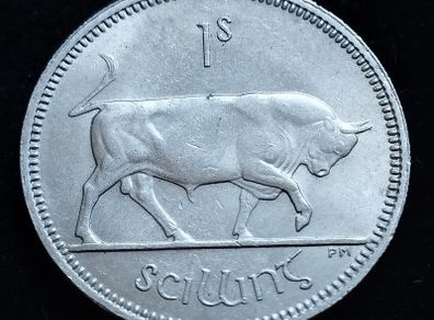 Ireland - 1962 - Shilling - Bull - KM.14a - [2151]