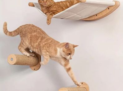 Cat Hammocks with climbing posts