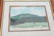 Framed Photo Little Sugarloaf Co. Wicklow