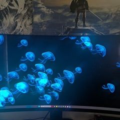 Alienware 34 240Hz Ulrawide Curved, QD-OLED Gaming Monitor - AW3425DW