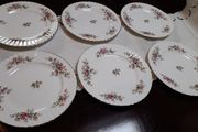 Royal Albert "Moss Roses " dinner  plates