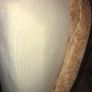 Large cushion Image 3