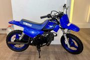 Pw 50