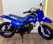 Pw 50