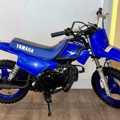 Pw 50