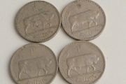 Irish shillings