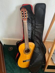 Guitar and case