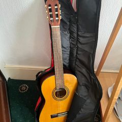 Guitar and case