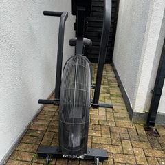 Rogue Echo Bike