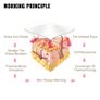 Far Infrared Sauna Blanket 3 Zone Heat Loss Weight Body Shape Slimming Fitness Spa Beauty Detox Therapy Machine For Women Image 2