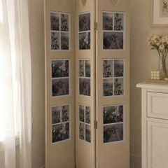 Photo Screen Cream