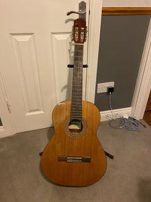 Guitar