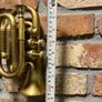 vintage trumpet Image 6