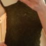 Christmas Party Dress BNWT Image 2