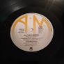 Suzanne Vega - Solitude Standing Irish pressing Image 7
