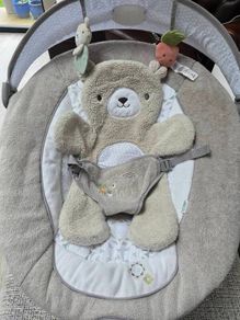 ingenuity baby bouncer
