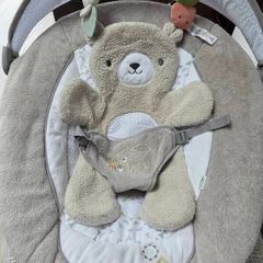 ingenuity baby bouncer