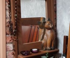 Cat Mirror