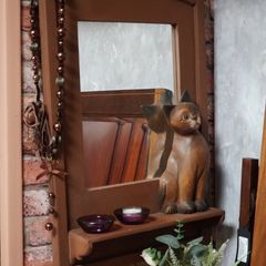 Cat Mirror