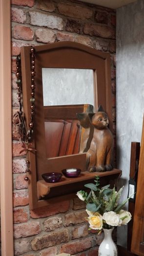 Cat Mirror