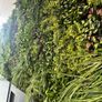 Artificial Wall Grass Image 5
