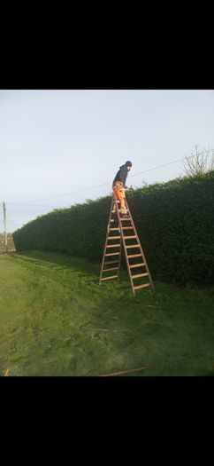 Garden services
