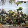 fluval flex Image 8