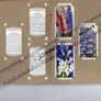 Wills's Cigarette Picture-card Album  Of Garden Flowers Image 9