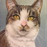 Custom Cat Portrait Image 8