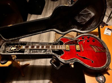 DAngelico Excel DC Viola semi-hollow body