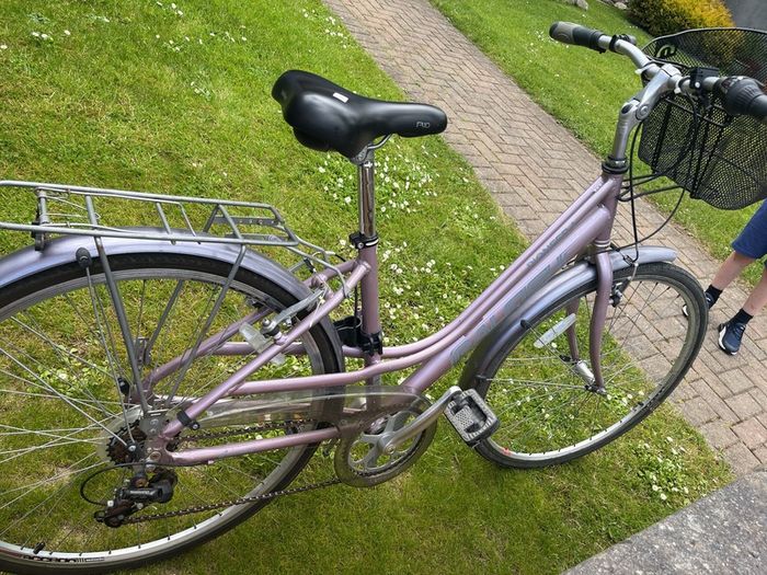 ladies raleigh bike