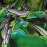 Fabulous Print Dress by 'Tia'  UK 18 AV Image 2