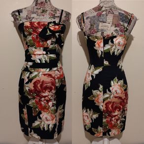 Beautiful Rinascimento Occasion Dress