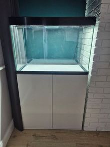 fish tank