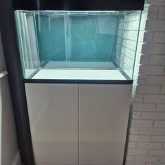 fish tank