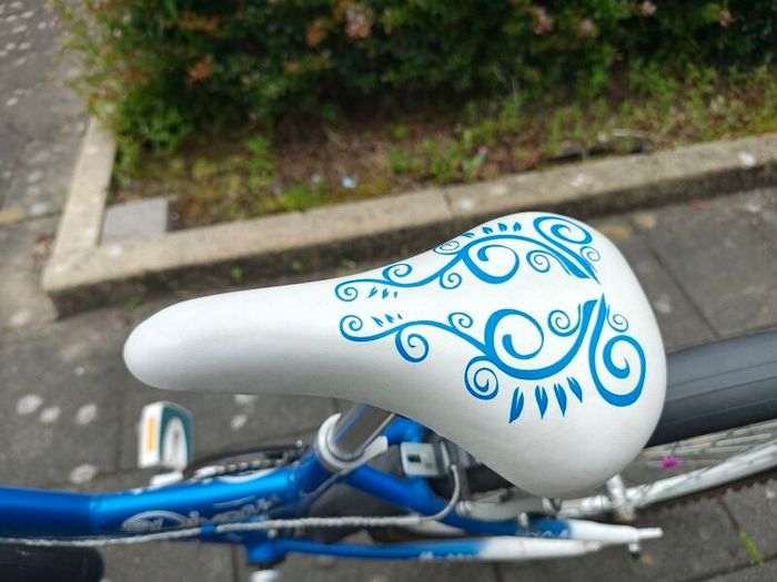 Raleigh Diva 24 girls bike