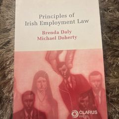 Principles of Irish Employment law
