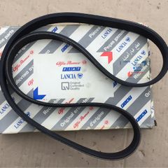 Alternator Belt (Alfa Romeo 2.0TS Engine)