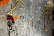 Skeleton bundle