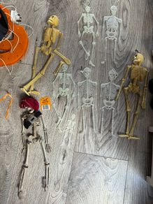 Skeleton bundle