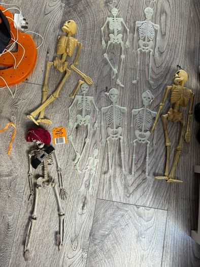 Skeleton bundle