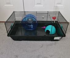 Hamster cage