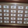Vintage 1933 John Player & Sons "Derby Winners" Cigarette Card Framed Display Image 4