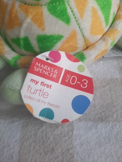 my first turtle
