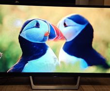 Sony Bravia 32" TV
