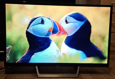 Sony Bravia 32" TV