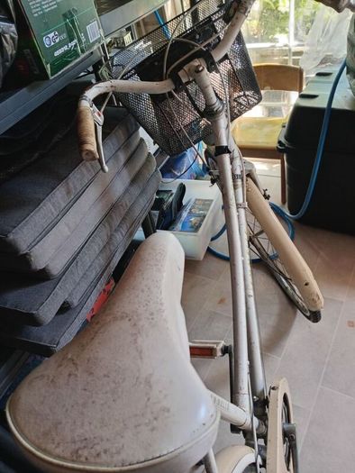 free vintage ladies bike